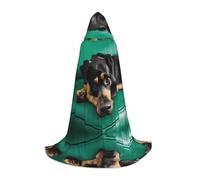 Halloween Hooded Cloak For Teenagers, Dachshund Dog Hooded Cape, Youth Hooded Costume For Cosplay, Witch Vampire Party, Fantasy Robe For Teens Carnival Comic Con, Perfect For Heights Of 110-170 Cm