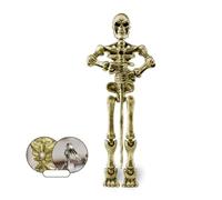 Halloween Jointed Skeleton Decoration, Magnetic Skeleton Action Figures, Multi-Jointed Decoration, Mova Plastic Skeleton