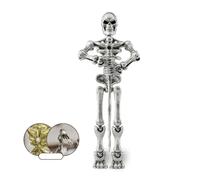 Halloween Jointed Skeleton Decoration, Magnetic Skeleton Action Figures, Multi-Jointed Skeleton Plastic Decoration, Mova