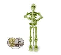 Halloween Jointed Skeleton Decoration, Magnetic Skeleton Action Figures, Plastic Decoration, Mova Skeleton Multi-Jointed
