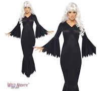 Halloween Ladies Midnight Vamp Costume