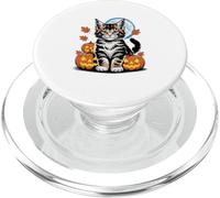 Halloween Maine Coon Pumpkin American Longhair PopSockets PopGrip for MagSafe