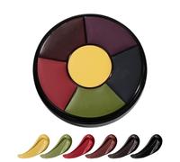 Halloween Makeup Kit Face Body Paint,6 Color Bruise Wheel Special Effects SFX Makeup Kits for Zombie Clown, Body & Face Paint Wheel Kit with Easy-On/Off Formula for Halloween Parties Cosplay Makeup