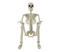 Halloween Outdoor Skeletons with Movable Joints 35.4 Inch Spooky Skeleton