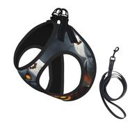 Halloween Owl Ghost Pumpkin Print Step in Dog Harness and Leash Set,Adjustable Reflective Harness for Small Dogs Cats