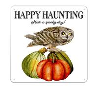 Halloween Owl on Pumpkin Metal Sign Have A Spooky Day Tin Sign Evil Holiday Party Hanging Poster Farmhouse Office Home Wall Art Welcome Seasonal Gift for Friends Family Colleague 12x12in