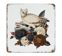 Halloween Owl Skeleton' Flower Floral Metal Signs Outdoor 12x12 Inch Country Outdoor Coffee Bar House Wall Décor Metal Plaque Abstract Rose Horror Wall Art Plaques for Laundry