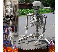 Halloween Party Decoration Halloween Skeleton Prop Deco Skeleton Life Size Full Body Posable Joints Skeletons Human Full Size Hand Life Body Anatomy Model Decorations (B, One)
