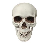 Halloween Party Decorations Desktop Ornament Movable Jaw Halloween Home Decoration Gothic Room Unique Sculpture for Living Room Bedroom The Veiled Lady Bust (A, 22cm)