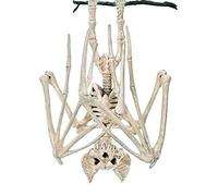 Halloween Party Decorations,Horrible Halloween Bat Skeleton Simulation Bat Skeleton Lifelike Bat Bone Halloween Decorations Halloween Props Animal Skeleton for Halloween Decoration, Bat