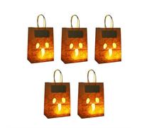Halloween Party Decorations Luminary Bags - 5-Pack Flame Resistant Paper Candle Sacks with Handles for Candy, Goodie Poke, Pathway and Yard Decor (Gra y 5pcs)