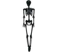 Halloween Party Gothc Black Plastic Skeleton Prop Haunted House Decoration 90cm