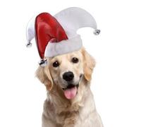 Halloween Pet Clown Hat for Small Dogs Cats Adjustable Pet Cosplay Costume Accessory with Colorful Bells Funny Festival Headband for Fancy Parties Photo Shoots