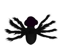 Halloween Pet Transformation Costume Teddy Puppy Cat Funny Bat Wings Spider