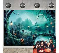 Halloween Photography Backdrop Creepy Graveyard Entrance Background Halloween Cool Pumpkin Bat Moon Night Haunted House Horror Party Decorations (6x4ft(180x120cm))