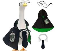 Halloween Porch Goose Costume, Porch Goose Outfit, Porch Goose College Cloak, Magic Wizard Robe, Back to School Cloak. (green)