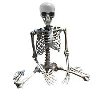 Halloween Props Decoration Halloween Life Size Full Body Movable Joints Skeletons Human Full Size Hand Life Body Anatomy Model Halloween Decorations Outdoor (Beige, One Size)