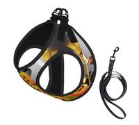 Halloween Pumpkin Compact Pet Suspender Vest-The Perfect Small Pet For A Comfortable Walk