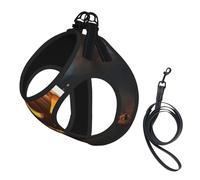 Halloween Pumpkin Print Small Dog Harness with Leash Set, No Escape Easy Walk Puppy Harnesses for Training Walking