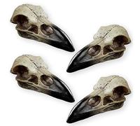 Halloween Raven Skull, Gothic Raven Decor Statue Animal Skull, Fake Bone Decor Crow Necklace Head Jewelry Pendant, Bird Skeleton Animal Skull Mask Crown, Witchy Gift for Men and Women (4 Pack)