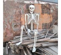 Halloween Realistic Full Body Skeleton Prop Decoration Posable Joints, 160CM