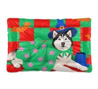 Halloween Siberian Husky Dog Green Red Washable Pet Bed Mat Non-Slip Soft Comfortable Dog Crate Mat for Medium/Large Dogs 36" x 24"