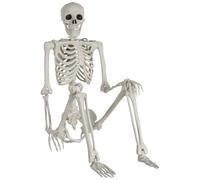 Halloween Skeleton Decoration 5.4ft/165cm - Realistic Life Size Posable Skeleton Full Body Bones with Movable Joints for Halloween Haunted House Decoration