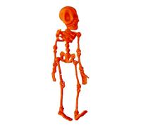 Halloween Skeleton Decoration - Full Body Skeleton with Realistic Plastic Bones Active Joints for Arrangements Ideal for Indoor and Outdoor Halloween Props and (C, 20 * 5 * 1cm)