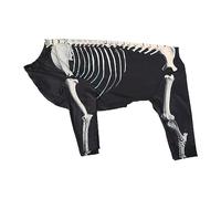 Halloween Skeleton Dog Costume Pet Costume for Puppy Kitten Festival Holiday 3XL