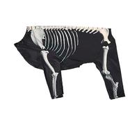 Halloween Skeleton Dog Costume Pet Costume for Puppy Kitten Festival Holiday 3XL