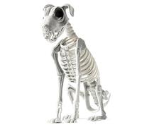 Halloween Skeleton Dog, Scary Spooky Skeleton Animals with Teeth, Realistic Halloween Skeleton Dog Statue, Skull Puppy Halloween Decor for Yard Garden Lawn, for Gathering Haunted House Supplies