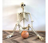 Halloween Skeleton Figure, 90CM Halloween Posable Skeleton with Movable Joints, Realistic Full Body S-keleton Decor for Ha-lloween Outdoor Indoor Garden House Patio Decorations