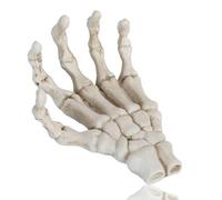 Halloween Skeleton Hands, Realistic Life Size Plastic Fake Human Hand for Bone Zombie Party Terror Scary Props Halloween Decorations