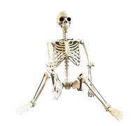 Halloween Skeleton - Life-Size Human Skeleton with Possibilities | Comfortable Weatherproof Outdoor Decoration and Creepy Photo Prop for Haunted House, Courtyard & Lawn Displays