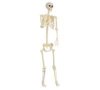 Halloween Skeleton Pattern | Realistic Articulated Skeleton Decor for Halloween,Decorations New Arrivals for Indoor Outdoor Cemetery Yard Yard Garden City