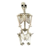 Halloween Skeleton, Realistic Life Size Posable Skeletons, Movable Flexible Joints, Sturdy Weather-Resistant Design Indoor Outdoor Use for Spooky Haunted House Yard Decor, Porch, Lawn, Party Props