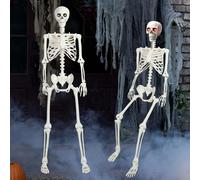 Halloween Skeleton,Skeleton Halloween Decoration,Life Size Skeleton,170cm/5.58ft Realistic Halloween Human Skeleton Full Body Movable Joints Skeleton for Halloween Spooky Props Party Decoration