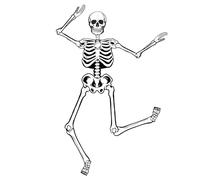 Halloween Skeletons Decorations, 3.2ft Large Paper Skeleton Decor Vintage Posable Jointed Skeleton for Halloween Birthday Spooky Party Windows Door Decorations (1 Pack)