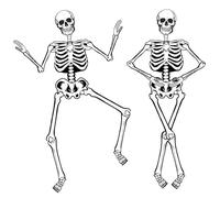 Halloween Skeletons Decorations, 3.2ft Large Paper Skeleton Decor Vintage Posable Jointed Skeleton for Halloween Birthday Spooky Party Windows Door Decorations (2 Pack)