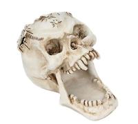 Halloween Skull Pen Container Decorative Brush Pot Resin Desk Organizer | White Resin, Countertop Use, Holds Erasers and Rulers, Spooky Gift for Home Office and Teachers