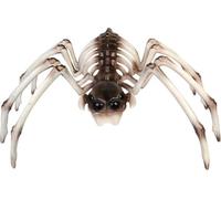 Halloween Spider Skeleton Prop