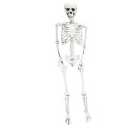 Halloween Terrifying Skeleton Prop with Flashing Lights and Eerie Sound Effects for Halloween Decorations - Life-Size 165CM Realistic Desktop Ornament for Indoor and Outdoor Use (White, 165cm)