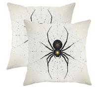 Halloween Throw Pillow Covers Set of 2, Black Spider Web Design Cushion Covers, Spooky Decorative Square Home Decor for Sofa Couch Bed 14x14 Inch