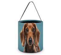 Halloween Trick Or Treat Bucket, Reusable Candy Bag - Foldable Design, Cute Dachshound Dogs Trick Or Treat Bag for Parties, Gift Giving & Holiday