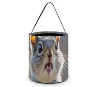 Halloween Trick Or Treat Bucket, Reusable Candy Bag - Foldable Design, Funny Cute Squirrel Trick Or Treat Bag for Parties, Gift Giving & Holiday