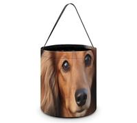 Halloween Trick Or Treat Bucket, Reusable Candy Bag - Foldable Design, Long Haired Dachshund Trick Or Treat Bag for Parties, Gift Giving & Holiday