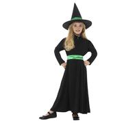 Halloween Wicked Witch Costume