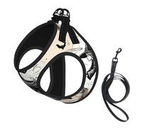 Halloween Witch Flying Print Step in Dog Harness and Leash Set,Adjustable Reflective Harness for Small Dogs Cats