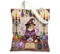 Halloween Witch Persians Cat Canvas Tote Bag for Shopping 13x15, Retro Fun Magic Witchy Reusable Grocery Print Pattern Bag for Women, Spooky Aesthetic Painting Gift Decor