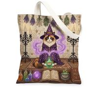 Halloween Witch Ragdoll Cat Canvas Tote Bag for Shopping 13x15, Retro Fun Magic Witchy Reusable Grocery Print Pattern Bag for Women, Spooky Aesthetic Painting Gift Decor